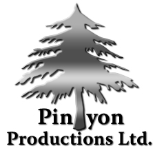 Pinyon Productions Ltd. - publisher of Spark Kindle Ignite a how-to business startup book